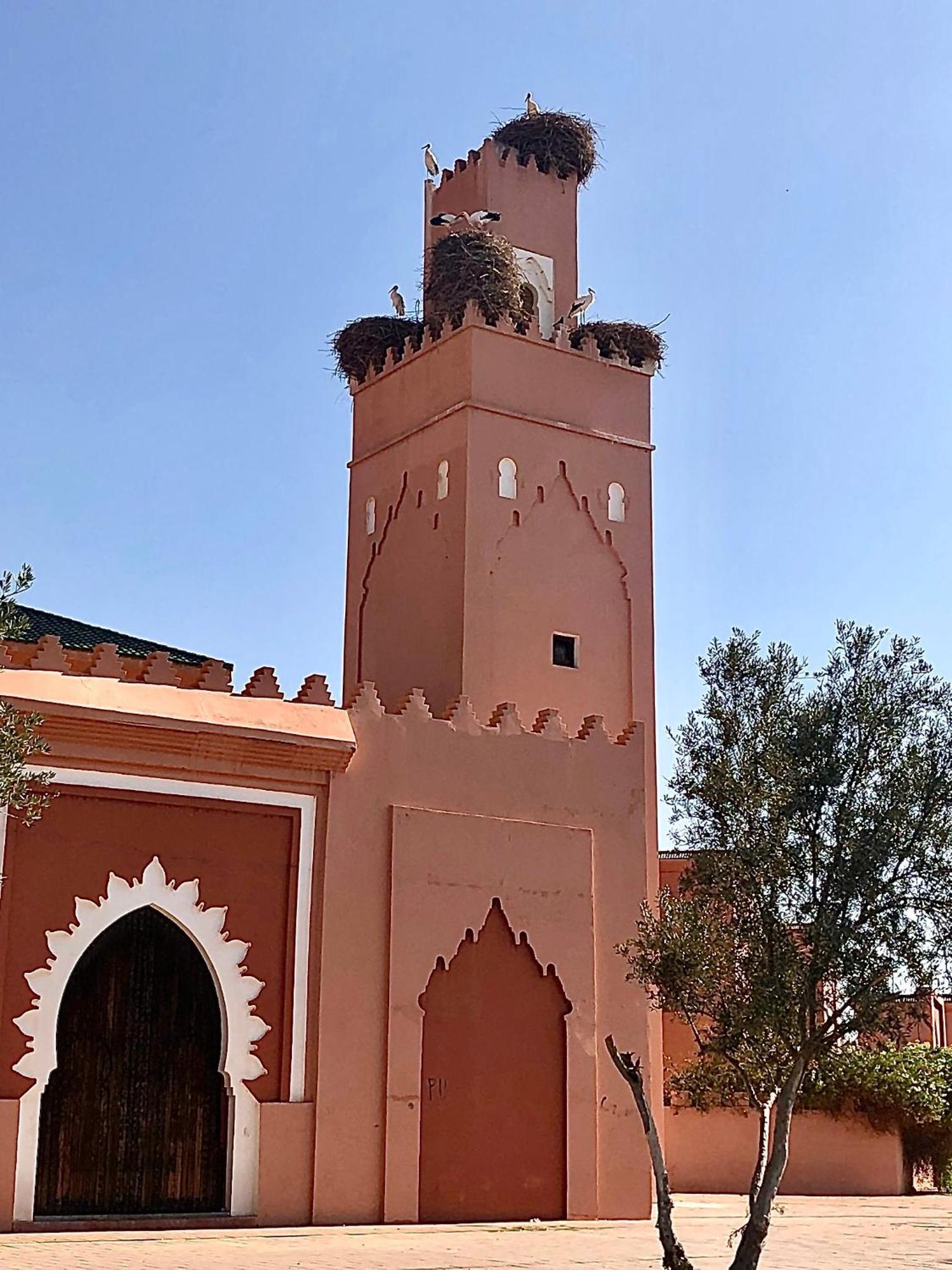 Riad Abbassia Marrakech Premiere Marrakesh Extérieur photo
